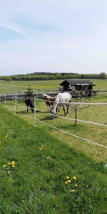 Fewomonciao2019-Panorama 2Pers Bis Max4Pers Montjoie Extérieur photo